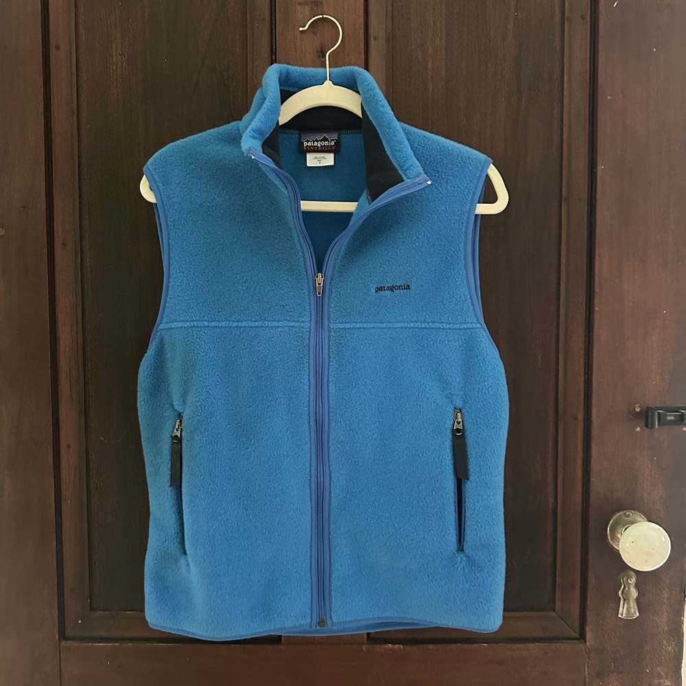Patagonia Vibrant Blue Fleece Vest